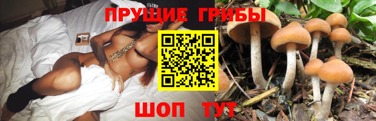 Воскресенск  Галлюциногенные грибы прущие грибы  купить наркотик  Вход с VPN 