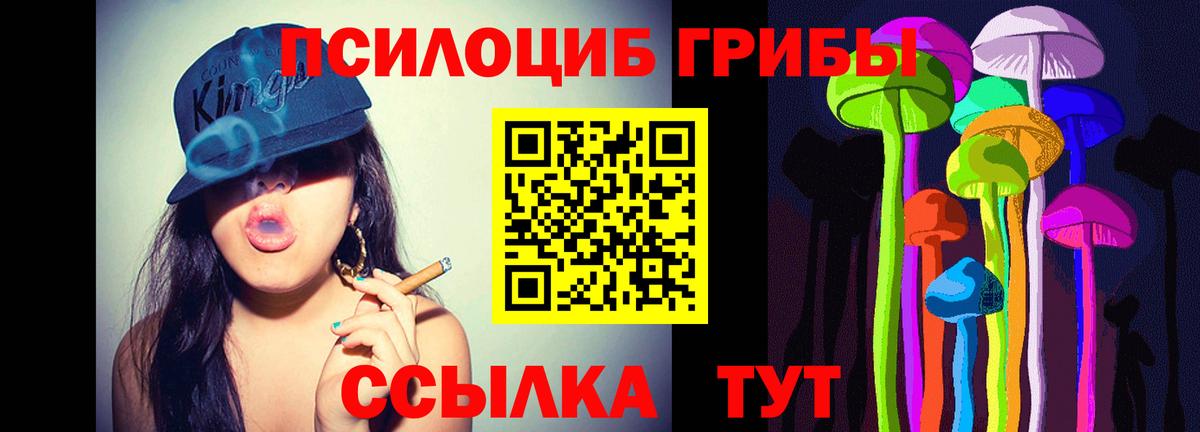 Псилоцибиновые грибы мицелий Воскресенск